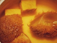 猴头菇炖麻鸭汤-广舟(千禧店)