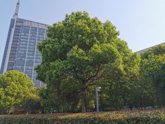 -杭州文化广播电视集团