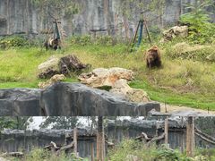 -武汉动物园