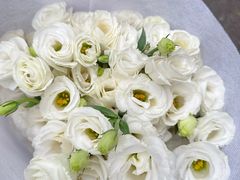 -循礼门鲜花花市(武汉循礼门店)