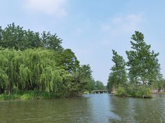 -溱湖国家湿地公园