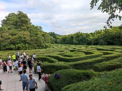 -大屏嶂森林公园