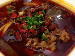 毛血旺-渝信川菜(工体店)