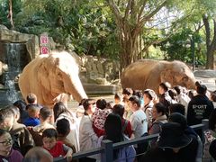 -深圳野生动物园