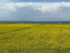 -青海湖国家重点风景名胜区