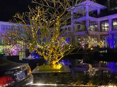 -三英温泉度假酒店-自助餐厅
