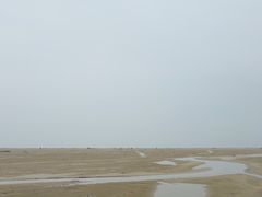 -红树林天天赶海