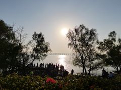 -宝安西湾红树林湿地公园