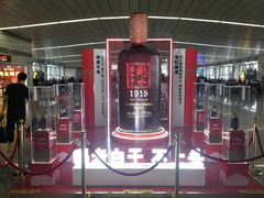 -石家庄正定国际机场-T2航站楼