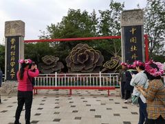 -曹州牡丹园