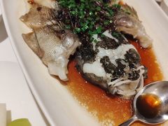 -南麓·浙里(外滩店)