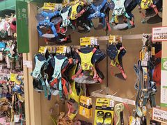 -帕帕拉兹宠物(亚洲旗舰店)