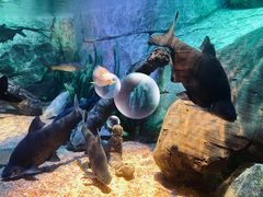 -沈阳海洋探索中心