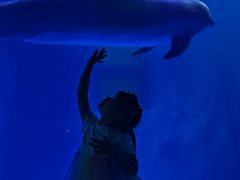 -多彩贵州城极地海洋世界