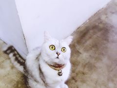 -研途咖啡馆(健康路店)