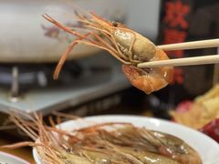 -金龙·打边炉(南京西路店)