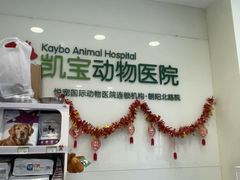 -悦宠凯宝动物医院·牙科·皮肤科(朝阳北路店)