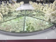 -巴国布衣·Sichuan Folk(紫荆店)