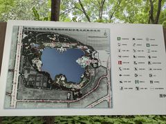 -莲花池公园