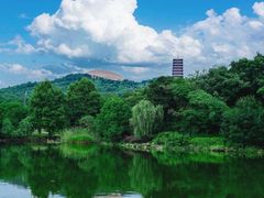-牛首山文化旅游区