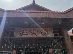 -崖口红树林海鲜餐厅