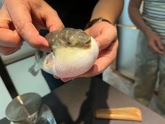 -肆月河豚·新淮扬(金融街店)