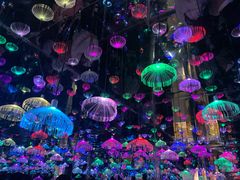 -梵高星空艺术馆(北京旗舰店)
