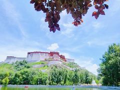-宗角禄康公园