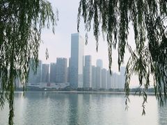 -天鹅湖体育公园