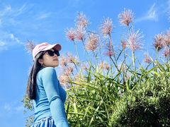 -东钱湖旅游度假区