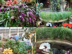 -正佳雨林生态植物园