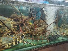 -班赞海鲜市场