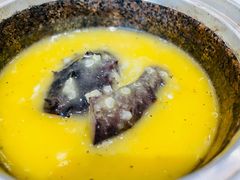 石锅松露扣辽参-新光酒家·河豚·海鲜·蟹料理(浦东店)