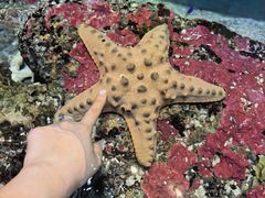 -新加坡海洋生态馆
