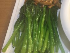 菜心杏鲍菇-西北45°(世茂广场店)