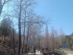 -白水寺森林公园