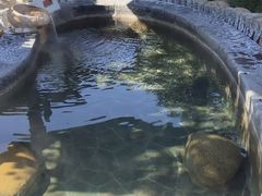 -扬州瘦西湖温泉