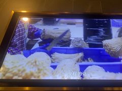 -海底捞火锅(长宁路龙之梦店)