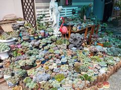 -杨厝六十六农庄农舍(杨厝路店)