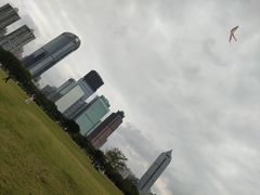 -万绿园