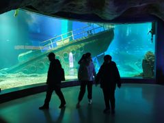 -福州罗源湾海洋世界旅游区