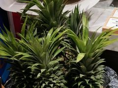 -卜秀铁板烧(食通天美食广场店)