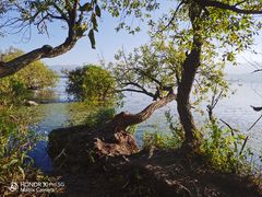 -西昌邛海湿地