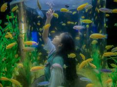 -洛阳龙门海洋馆