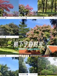 点击看大图 -深圳市儿童乐园