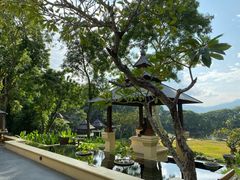 -四季酒店下午茶