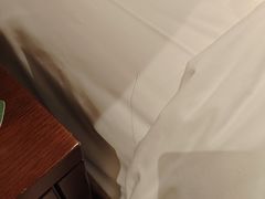 -上海汾阳花园酒店