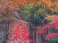 -杭州黄龙洞