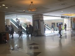 -上海中医药大学附属曙光医院(东部)