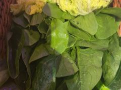 -京悦南门涮羊肉·羊蝎子火锅(田林路店)